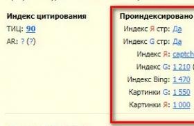 Индекс за търсене Добавяне на страници към индексирането на Yandex